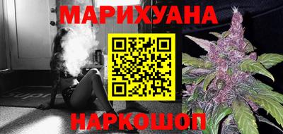 индика Моздок