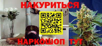 индика Моздок