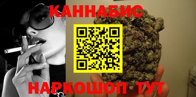 индика Моздок