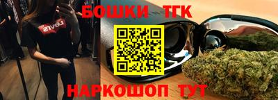 индика Моздок