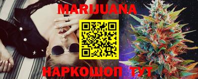 индика Моздок